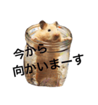 わんこにゃんこ（個別スタンプ：16）