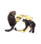 わんこにゃんこ（個別スタンプ：24）