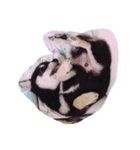 しまだ ケンシロウ（個別スタンプ：8）