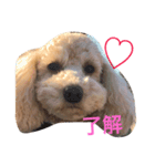 ダーちゃんの1日♡（個別スタンプ：4）