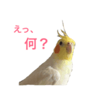 たまご。（個別スタンプ：2）