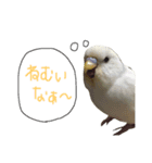 たまご。（個別スタンプ：3）