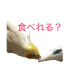 たまご。（個別スタンプ：4）