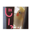 たまご。（個別スタンプ：5）