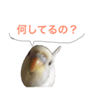 たまご。（個別スタンプ：6）