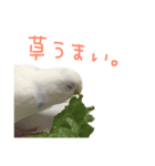 たまご。（個別スタンプ：7）