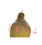 たまご。（個別スタンプ：8）