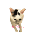 たくちゃんversion1（個別スタンプ：9）