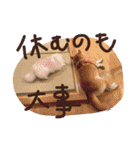 まめともも（個別スタンプ：11）
