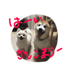 まめともも（個別スタンプ：18）