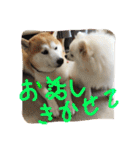 まめともも（個別スタンプ：21）