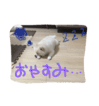 まめともも（個別スタンプ：24）