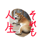 まめともも（個別スタンプ：36）