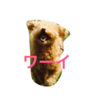 ぷぅ＆ジョン（個別スタンプ：5）
