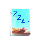 にゃん吉のにゃーちゃん（個別スタンプ：6）