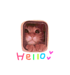 にゃん吉のにゃーちゃん（個別スタンプ：7）