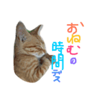 にゃん吉のにゃーちゃん（個別スタンプ：24）