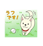 ゴルフ場のアイドル犬「ベル」＆「ひめ」（個別スタンプ：4）