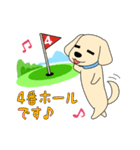 ゴルフ場のアイドル犬「ベル」＆「ひめ」（個別スタンプ：11）