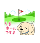 ゴルフ場のアイドル犬「ベル」＆「ひめ」（個別スタンプ：12）
