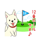 ゴルフ場のアイドル犬「ベル」＆「ひめ」（個別スタンプ：19）