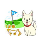 ゴルフ場のアイドル犬「ベル」＆「ひめ」（個別スタンプ：20）