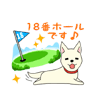 ゴルフ場のアイドル犬「ベル」＆「ひめ」（個別スタンプ：25）