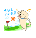 ゴルフ場のアイドル犬「ベル」＆「ひめ」（個別スタンプ：28）