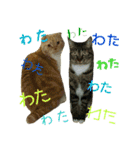 きなことあんこ4（個別スタンプ：4）