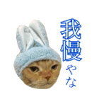 きなことあんこ4（個別スタンプ：14）