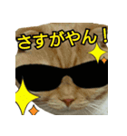 きなことあんこ4（個別スタンプ：18）