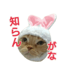 きなことあんこ4（個別スタンプ：21）
