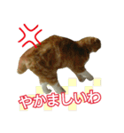 きなことあんこ4（個別スタンプ：29）