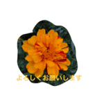 ボタニカルdays（個別スタンプ：3）