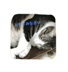 ボタニカルdays（個別スタンプ：7）