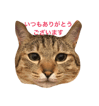 チビ太君のスタンプ（個別スタンプ：2）