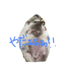 ハリネズミのちぃ 2（個別スタンプ：7）