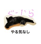 パンコ一族（個別スタンプ：1）