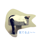パンコ一族（個別スタンプ：3）
