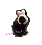 パンコ一族（個別スタンプ：8）
