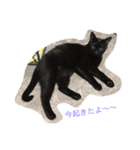 パンコ一族（個別スタンプ：9）