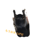 パンコ一族（個別スタンプ：11）