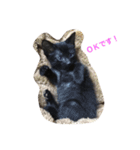パンコ一族（個別スタンプ：15）