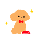 Love Poodle スタンプ（個別スタンプ：12）