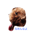 シルクスタンプ1（個別スタンプ：1）