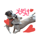 愛犬定春と神楽（個別スタンプ：35）