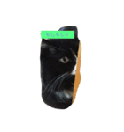 黒猫ちゃん♫（個別スタンプ：6）
