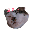 ここです（個別スタンプ：4）