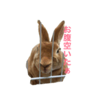 よもぎLife（個別スタンプ：8）
