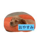 DMリキくん（個別スタンプ：9）